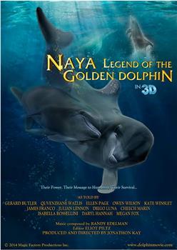 纳亚金海豚传说在线观看和下载