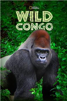 狂野刚果 第一季在线观看和下载