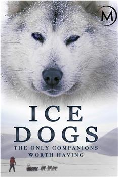 格陵兰犬的故事在线观看和下载
